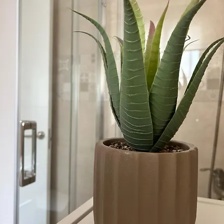 Estudio Centro Apartment *
